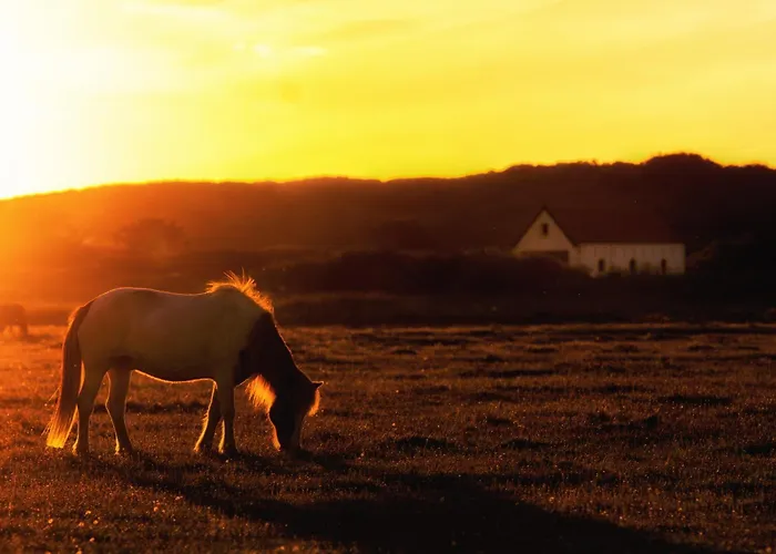 Strandhaus 4 Eg Апартаменты